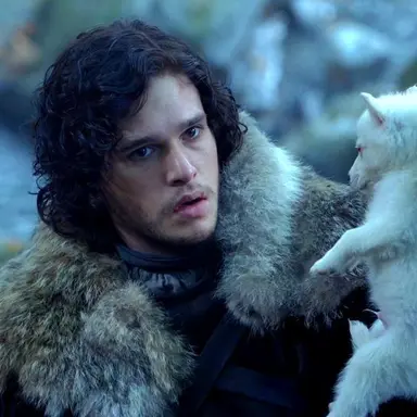 Profile image of Jon Snow