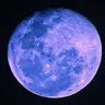 Profile image of タンザナイト