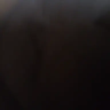 Profile image of トト子ちゃん