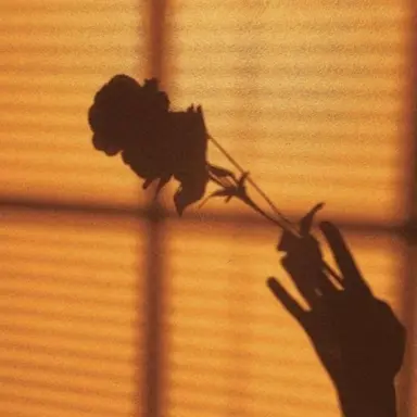 Profile image of 덕개