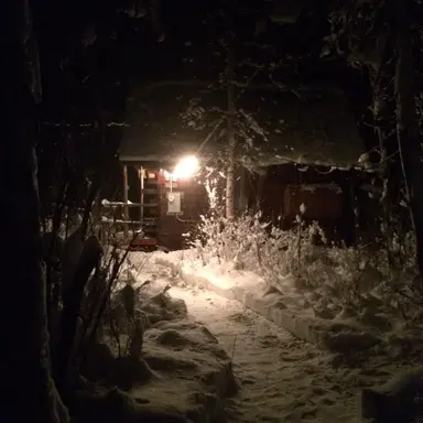 Profile image of 최대용