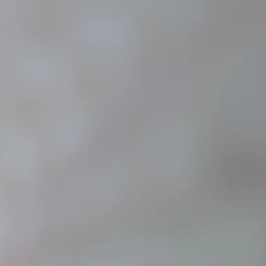 Profile image of 황제