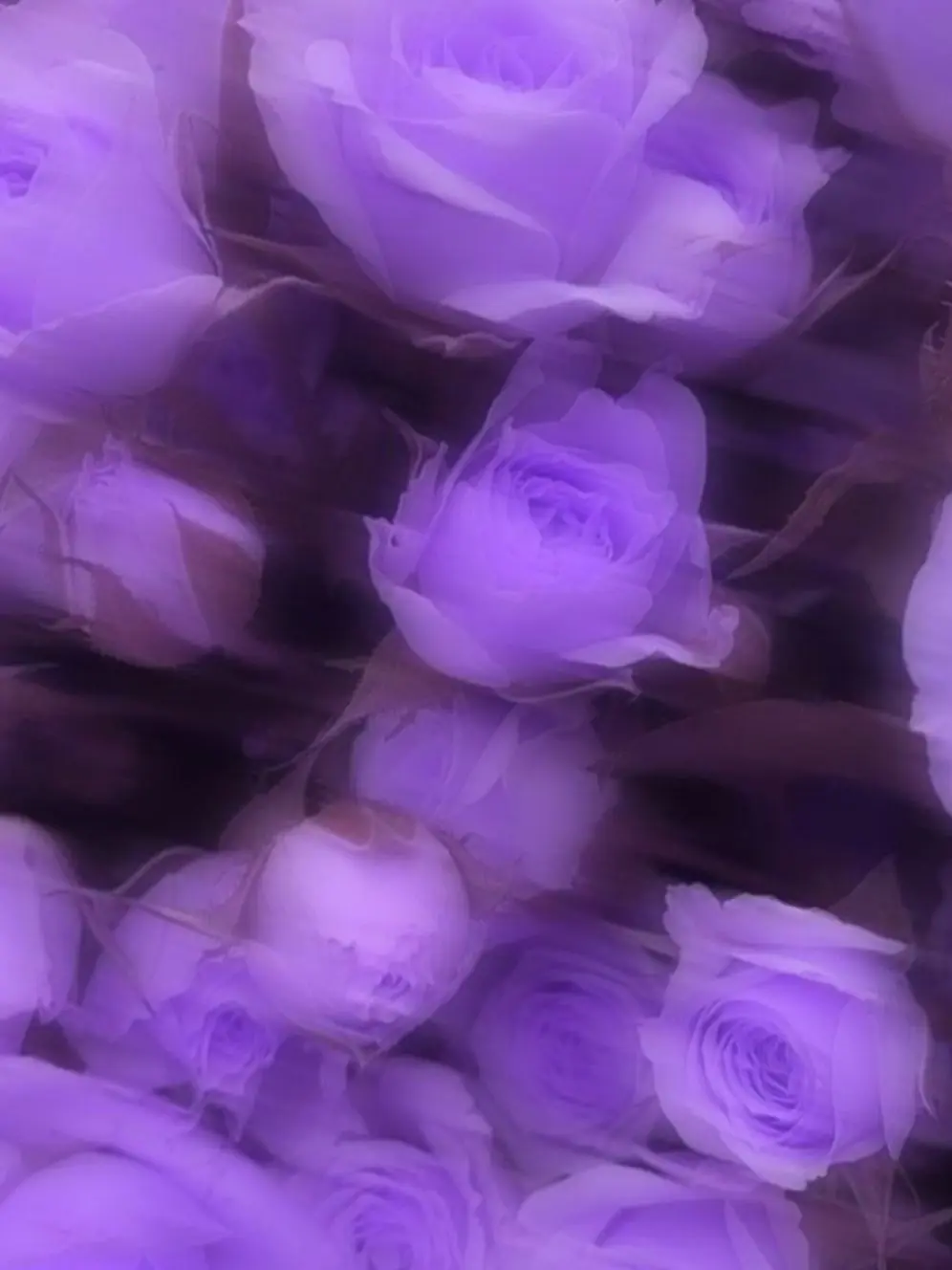 Sixfonia._.illma_11.10의 どうせ顔だろ
