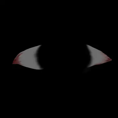 Profile image of B男