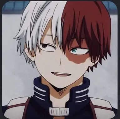 Profile image of Shoto todiroki