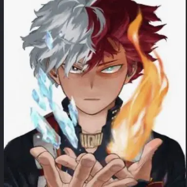 Profile image of Shoto todiroki