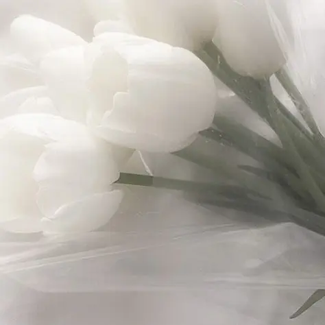 Onedoor._.May의 김 운 학