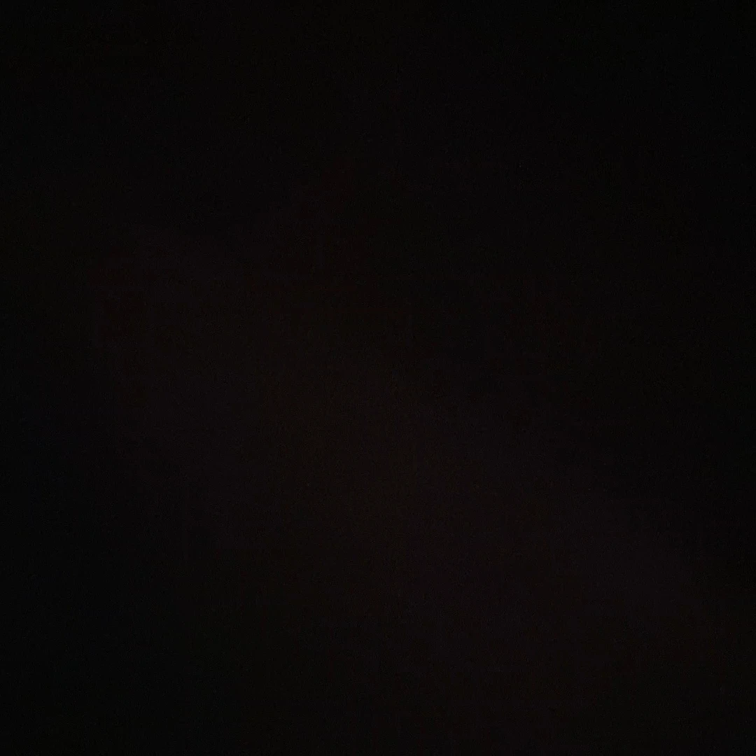 스텔라이브