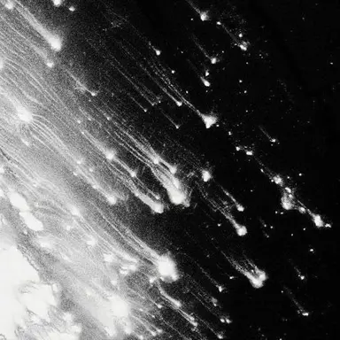 Profile image of 정체 모를 바이러스