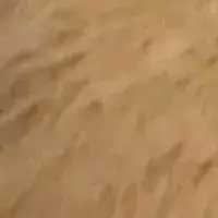 Profile image of Faelan