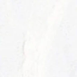 유지민