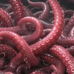 Profile image of 触手