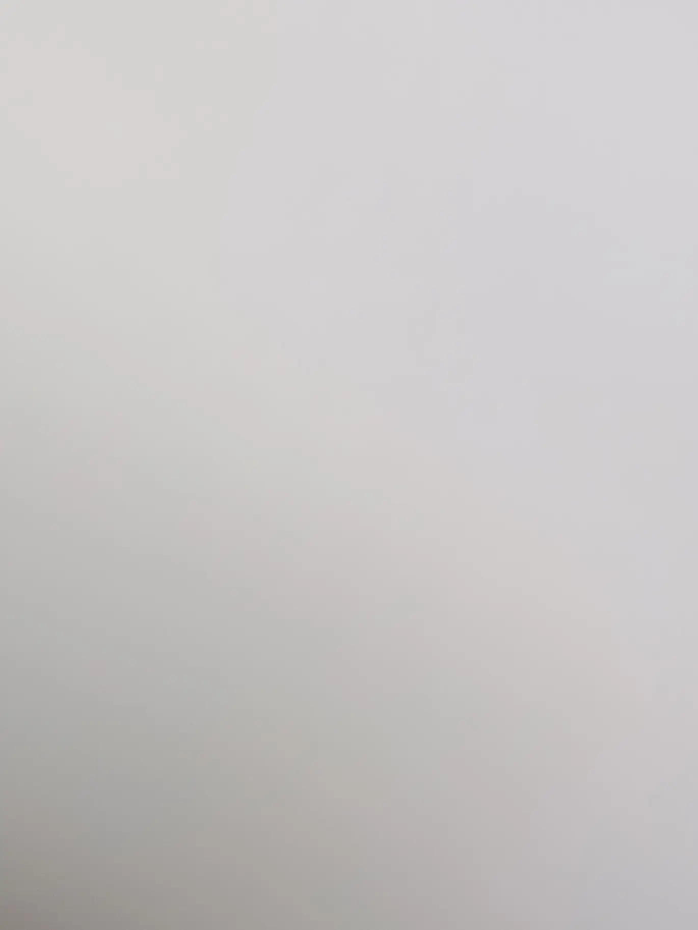 RaggedLeaf1700의 自分用です🙇