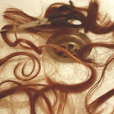 Profile image of 한성후