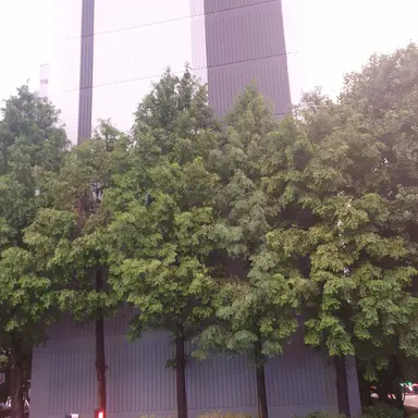 Profile image of 일본 버블경제