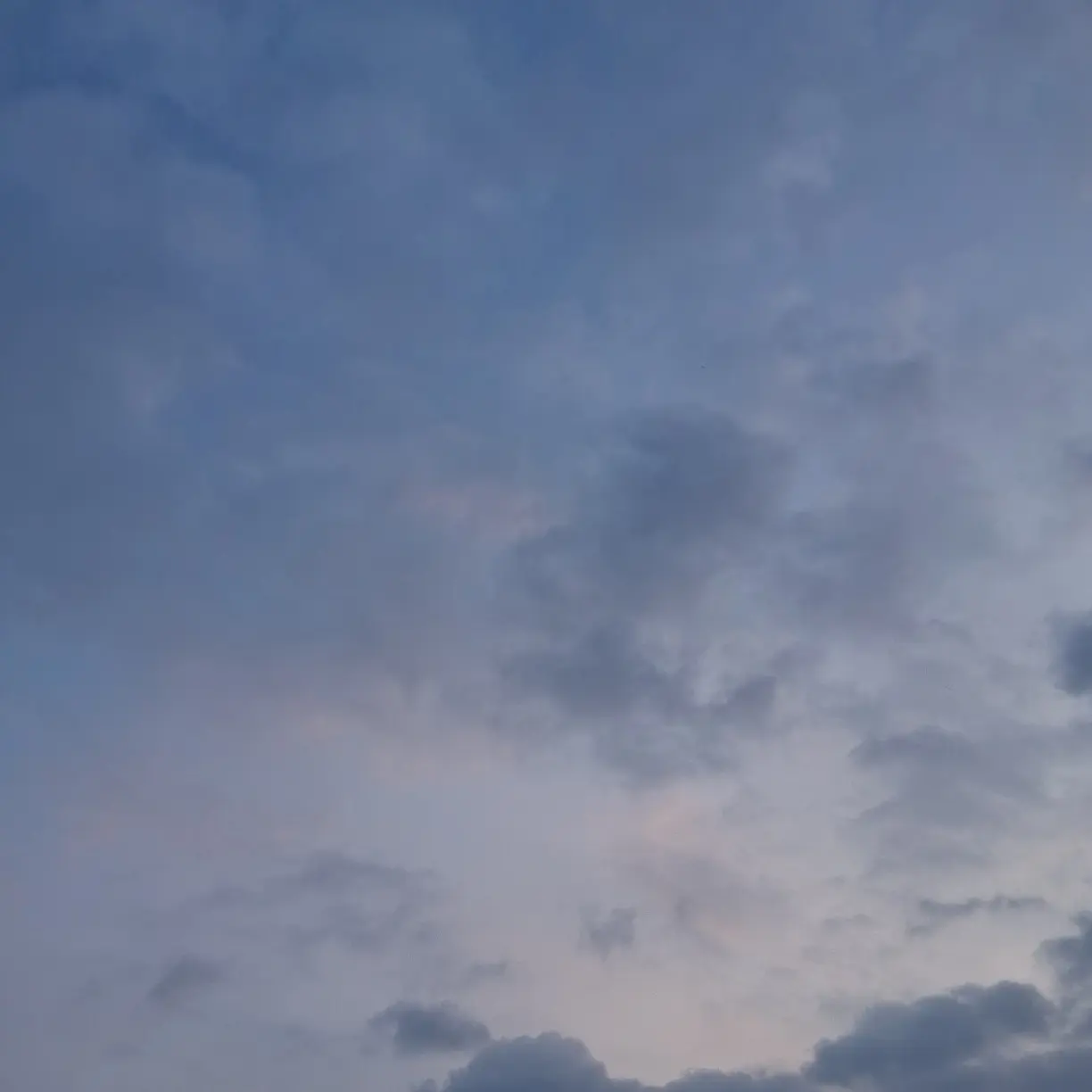 DullSale5653의 ㅊㅇㅈ