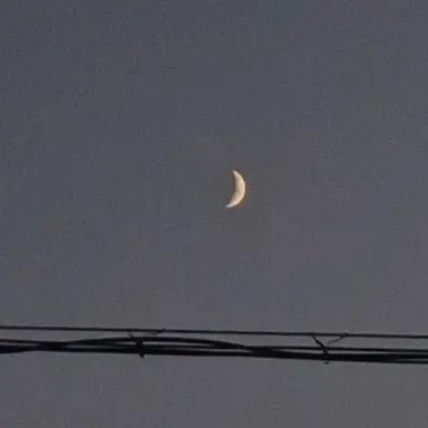 Profile image of 각별