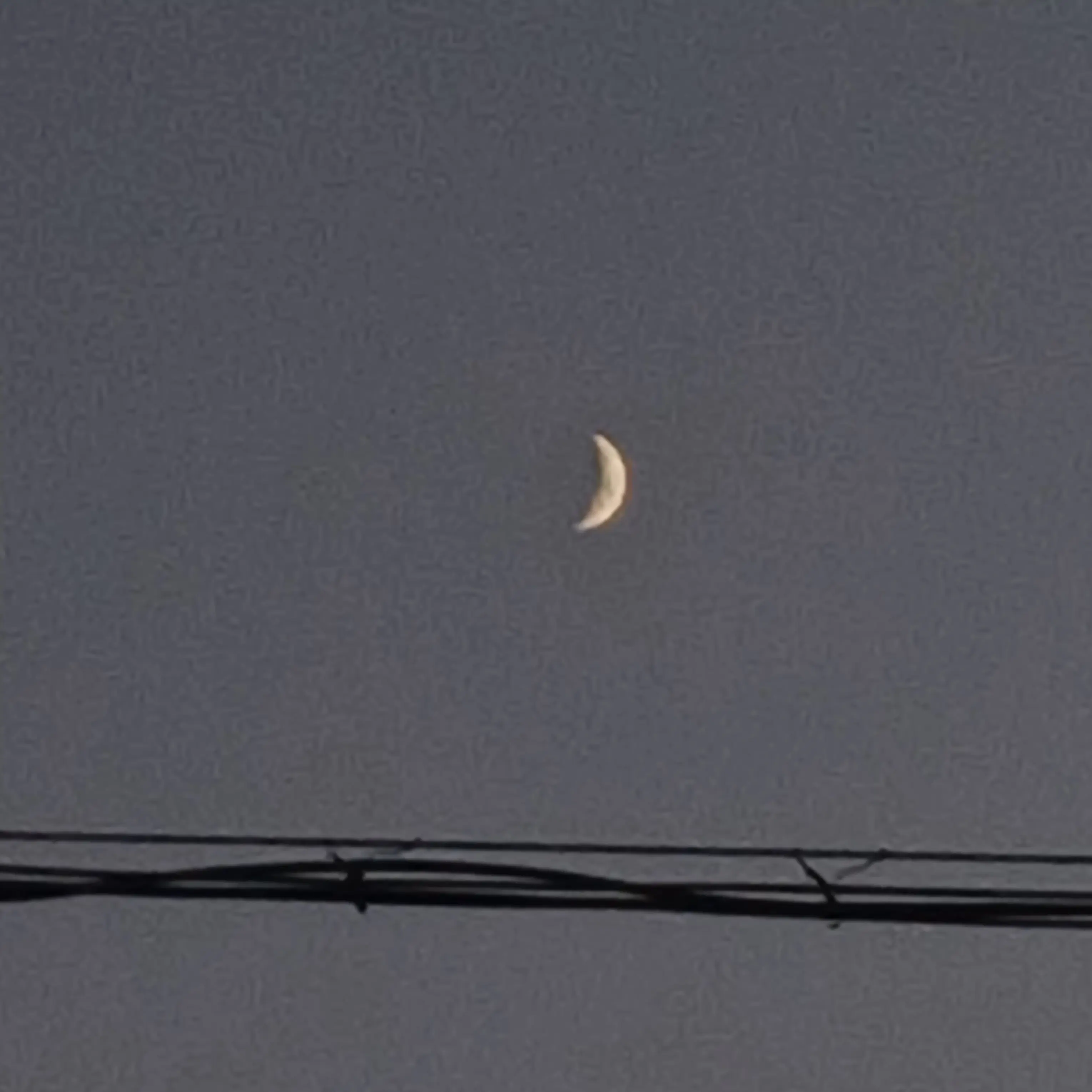 Persephoneia의 각별