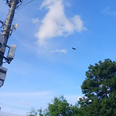 Profile image of 각별