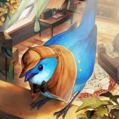 Profile image of Robin