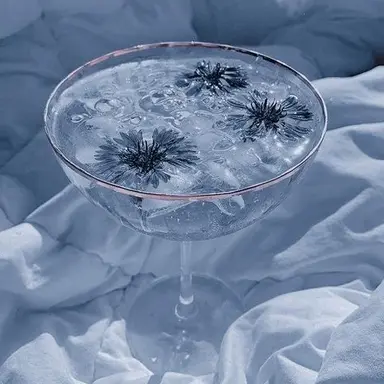 Profile image of 잠뜰