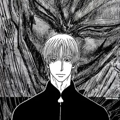 Profile image of Hisoka