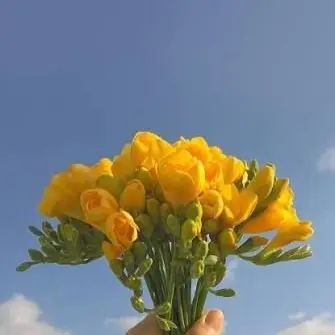 Profile image of 김각별