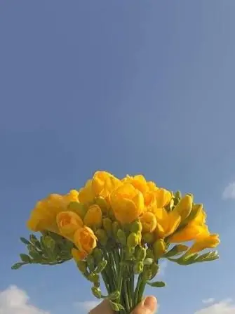 Heptagram_love-you의 𓇢𓆸육아는 어떻게 하나요?