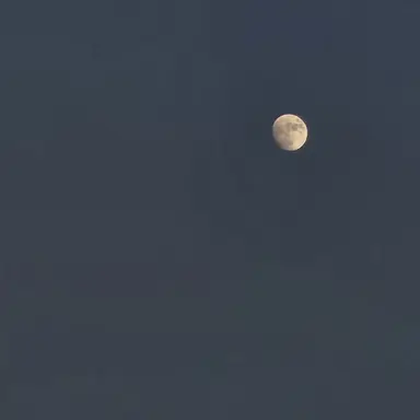 Profile image of 퓨어바닐라