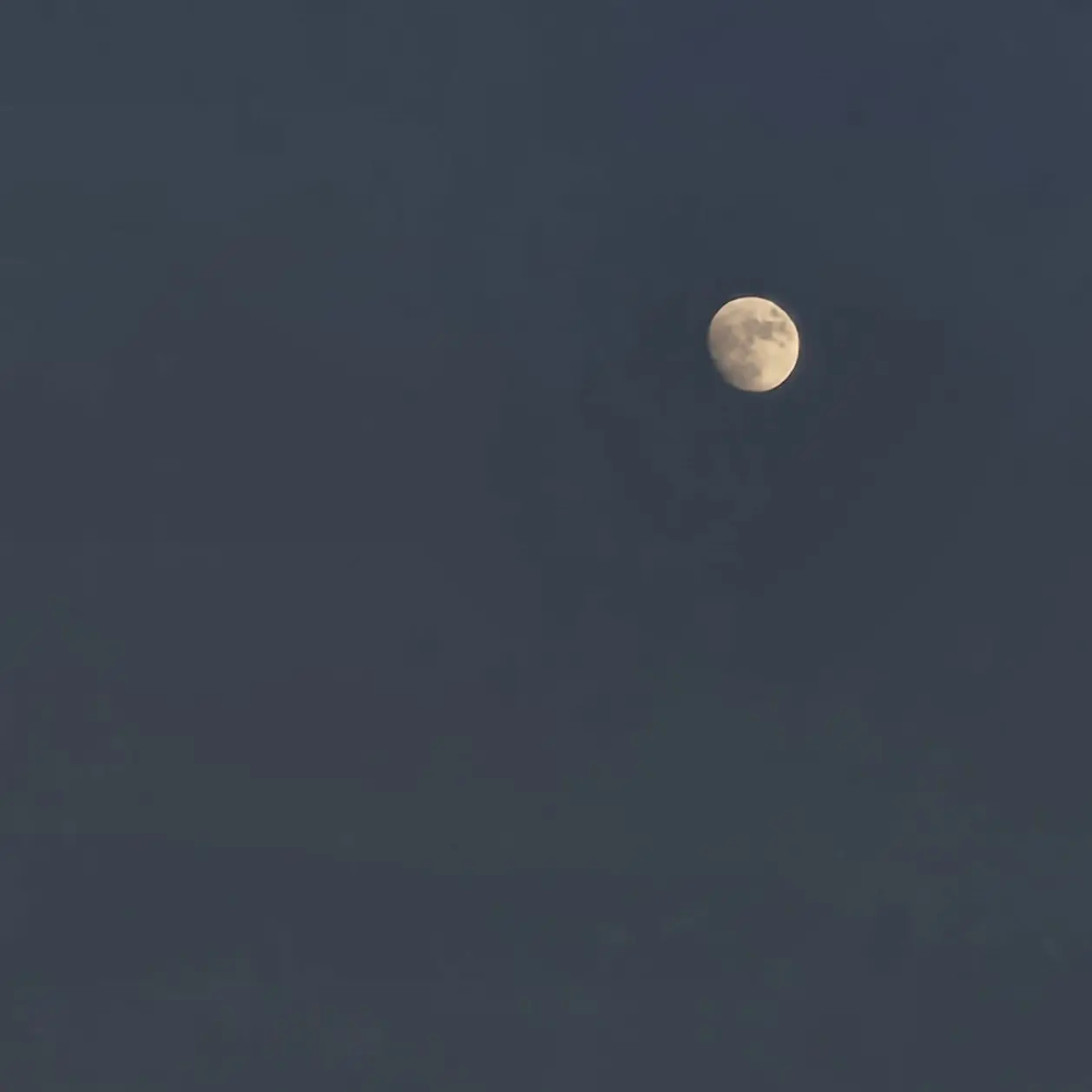 Churu_manbbangdu의 나만의검은고먐미♫