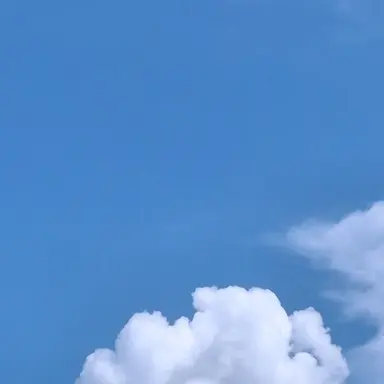 Profile image of 양양