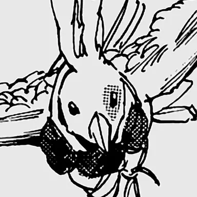 Profile image of 피스케