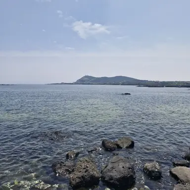 Profile image of 스프런키