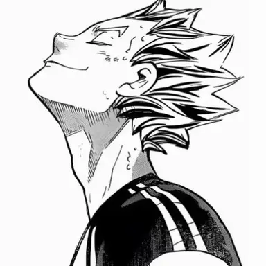 Profile image of 木兎光太郎