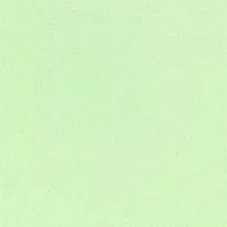 Profile image of ゾム
