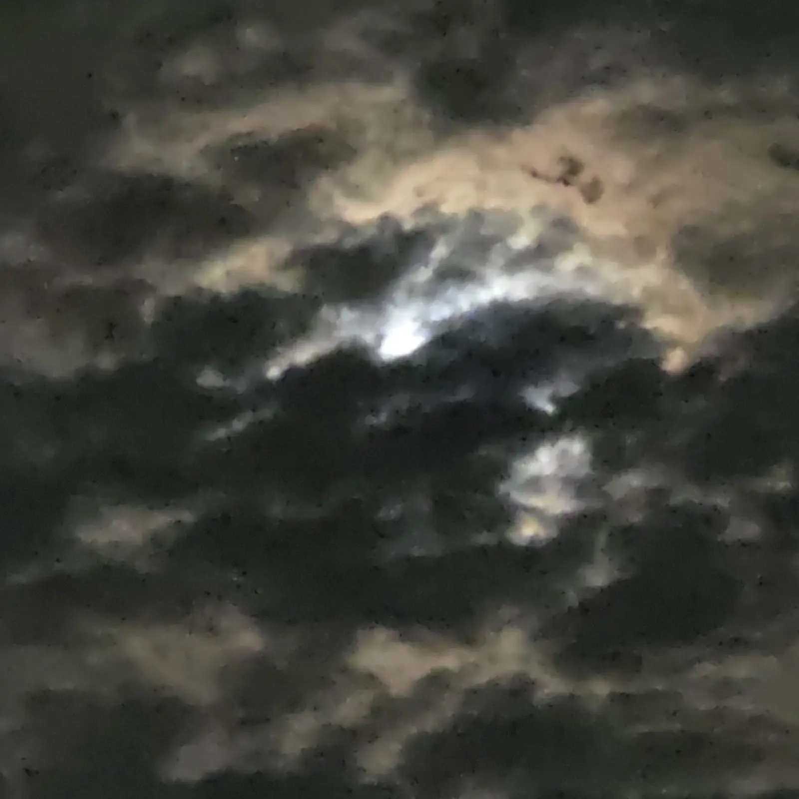 HarshAxe0608의 순애파 변호사 아내 유지민