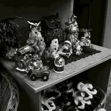 Profile image of 若井滉斗