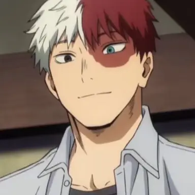 Profile image of Todoroki