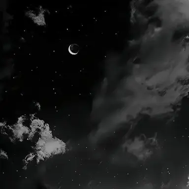 Profile image of 민정이