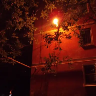 Profile image of 박영환