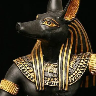 Profile image of Anubis