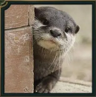 Profile image of 고수달