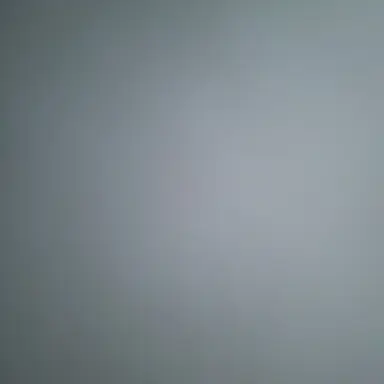 Profile image of 디바궁