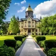 Profile image of Furry School