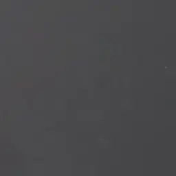 NastyBaiji6396의 PWS와 여우