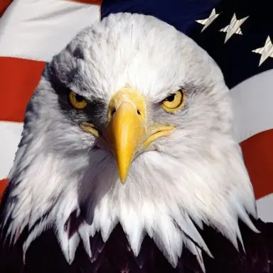 Profile image of Boomber.