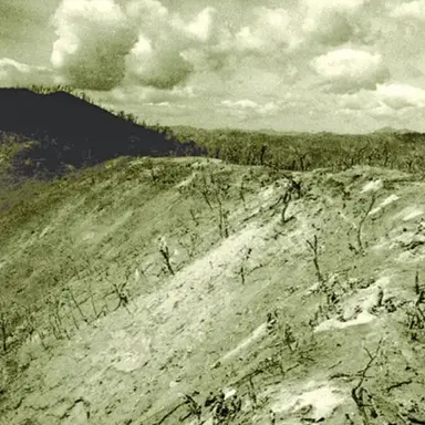 Profile image of 흰머리 수리 부대