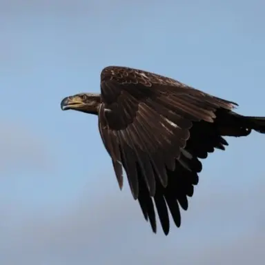 Profile image of Kider.