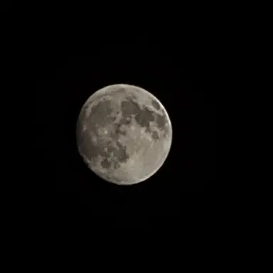 Profile image of 검독수리 부대