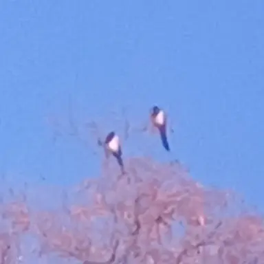 Profile image of 중증외상센터